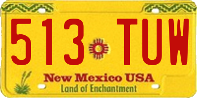 NM license plate 513TUW