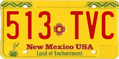 NM license plate 513TVC