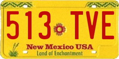 NM license plate 513TVE