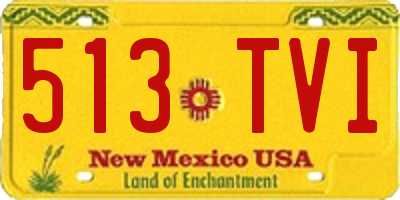 NM license plate 513TVI