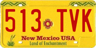 NM license plate 513TVK