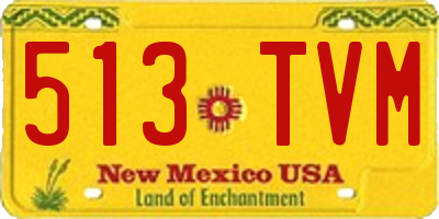 NM license plate 513TVM