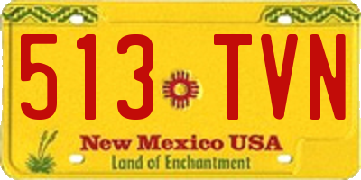 NM license plate 513TVN