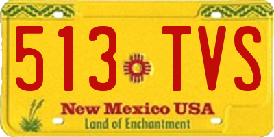 NM license plate 513TVS