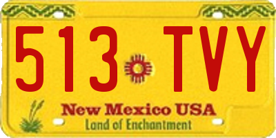 NM license plate 513TVY