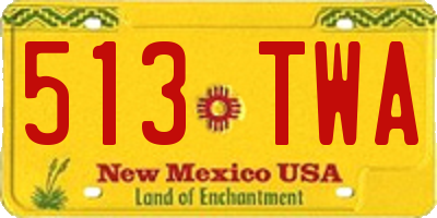NM license plate 513TWA