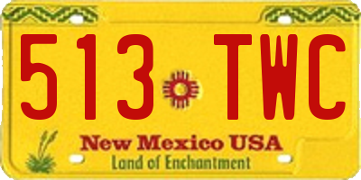 NM license plate 513TWC