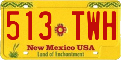 NM license plate 513TWH
