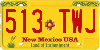 NM license plate 513TWJ