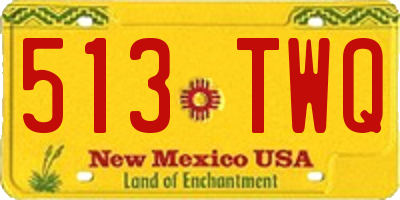 NM license plate 513TWQ