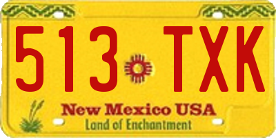 NM license plate 513TXK