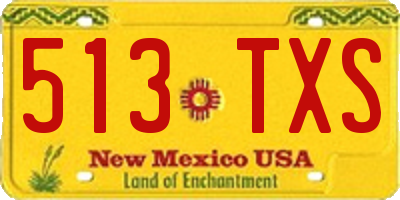 NM license plate 513TXS