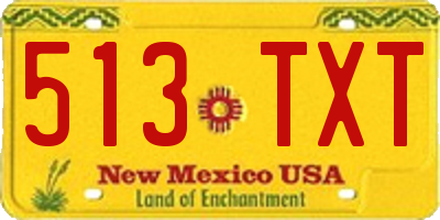 NM license plate 513TXT