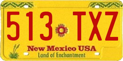 NM license plate 513TXZ