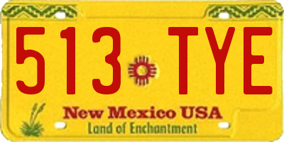 NM license plate 513TYE
