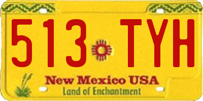 NM license plate 513TYH
