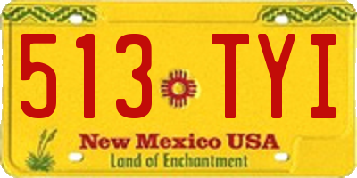 NM license plate 513TYI