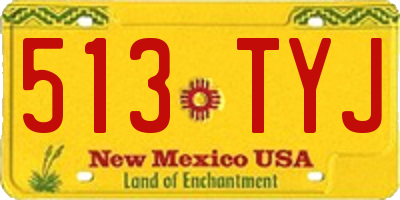 NM license plate 513TYJ