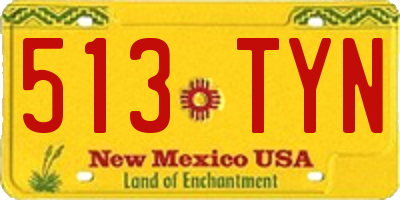 NM license plate 513TYN