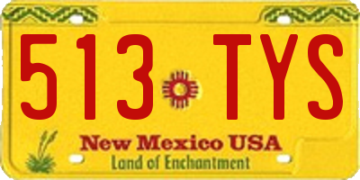 NM license plate 513TYS