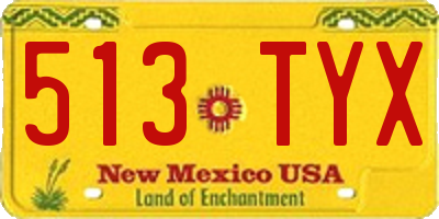 NM license plate 513TYX
