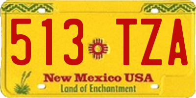NM license plate 513TZA