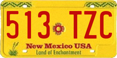 NM license plate 513TZC