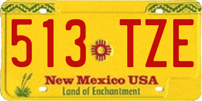NM license plate 513TZE