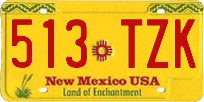 NM license plate 513TZK