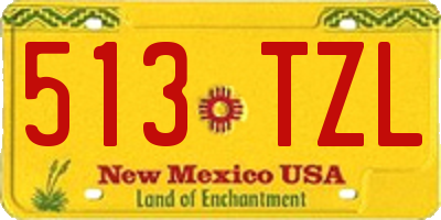 NM license plate 513TZL