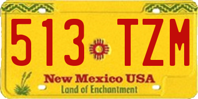 NM license plate 513TZM