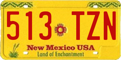 NM license plate 513TZN