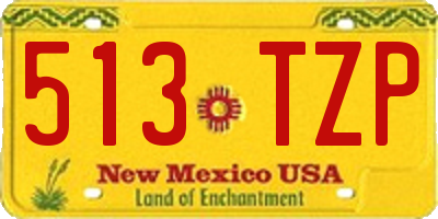 NM license plate 513TZP