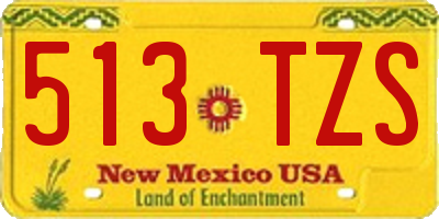 NM license plate 513TZS