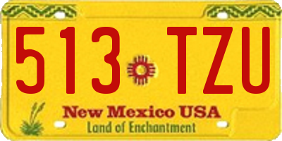 NM license plate 513TZU