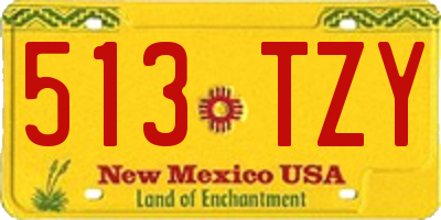 NM license plate 513TZY