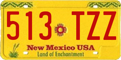 NM license plate 513TZZ