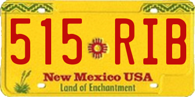 NM license plate 515RIB