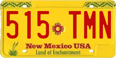 NM license plate 515TMN