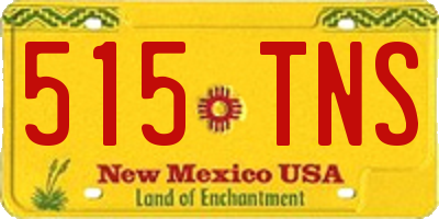 NM license plate 515TNS