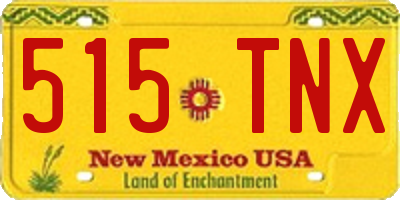 NM license plate 515TNX