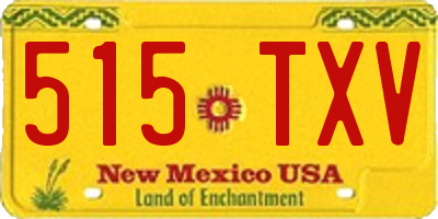 NM license plate 515TXV