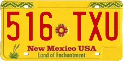 NM license plate 516TXU