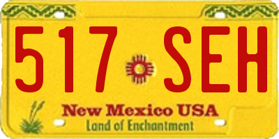 NM license plate 517SEH
