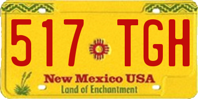 NM license plate 517TGH