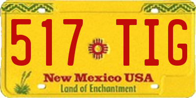 NM license plate 517TIG