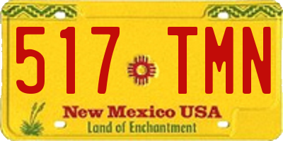 NM license plate 517TMN