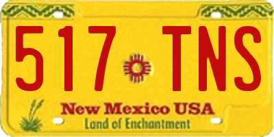 NM license plate 517TNS
