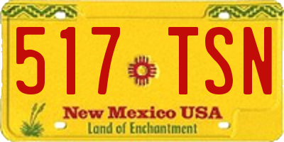NM license plate 517TSN