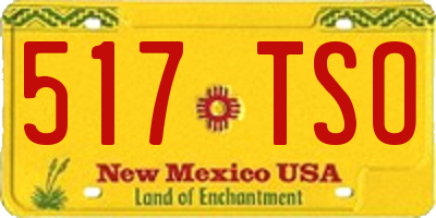 NM license plate 517TSO